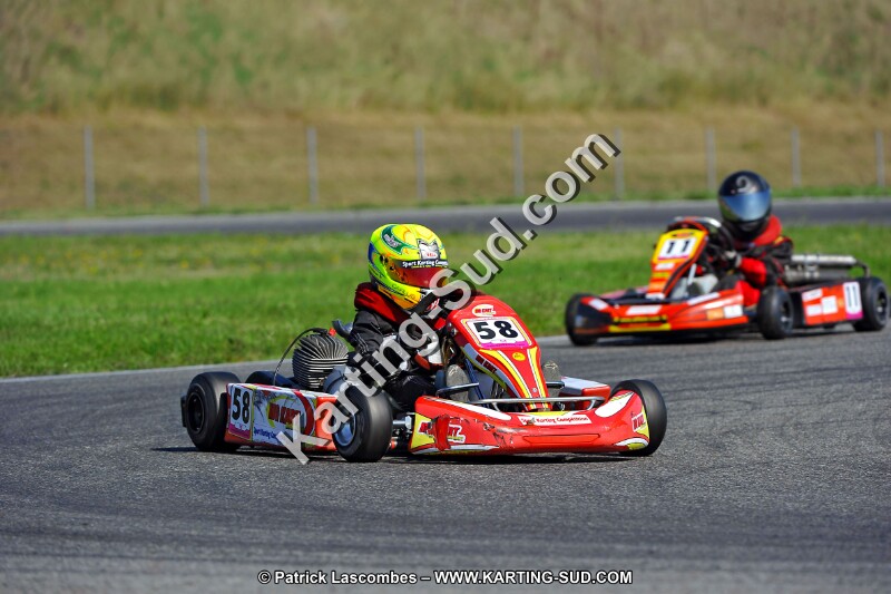 DSC_ (1255).jpg